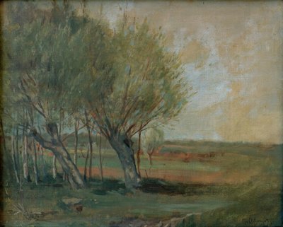 Landschaft mit Weiden von Max Liebermann